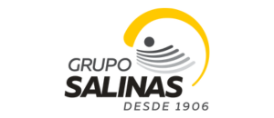 Grupo-Salinas